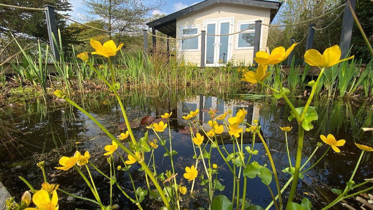 Photo of Others in Bude