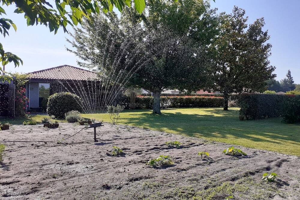 Photo of Outdoor in Bias