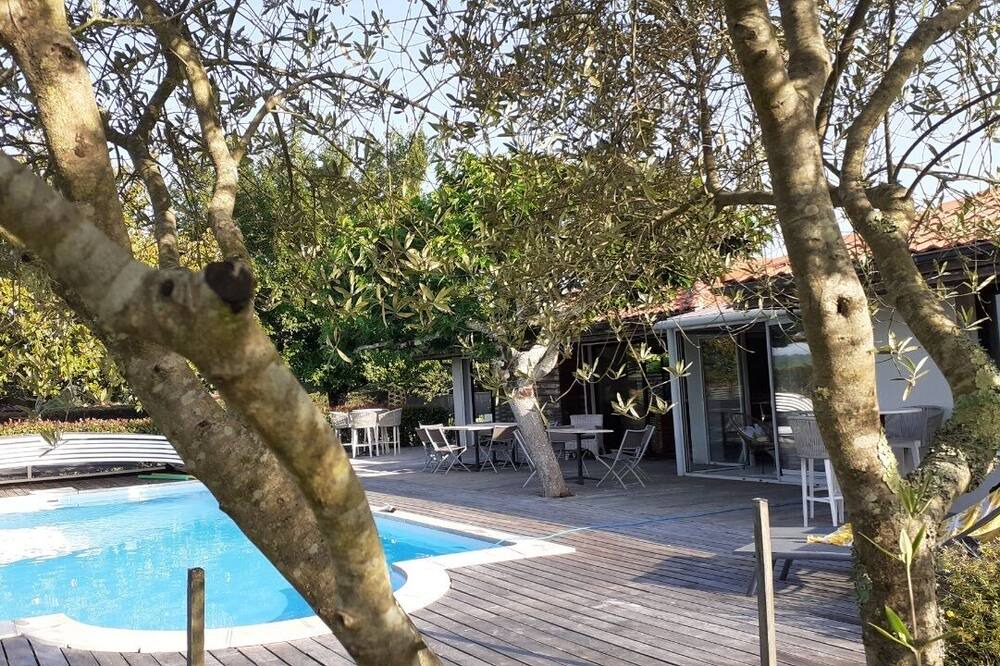 Photo of Outdoor in Bias