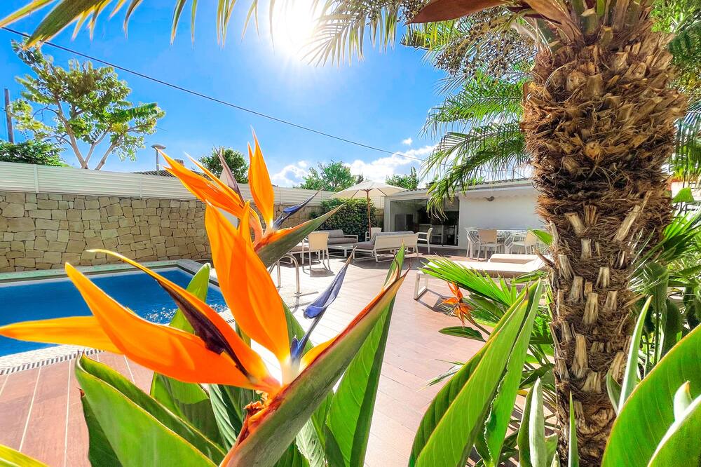 Photo of Outdoor in San Vicente del Raspeig