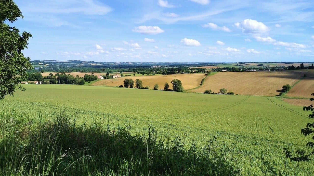Photo of Others in Lectoure