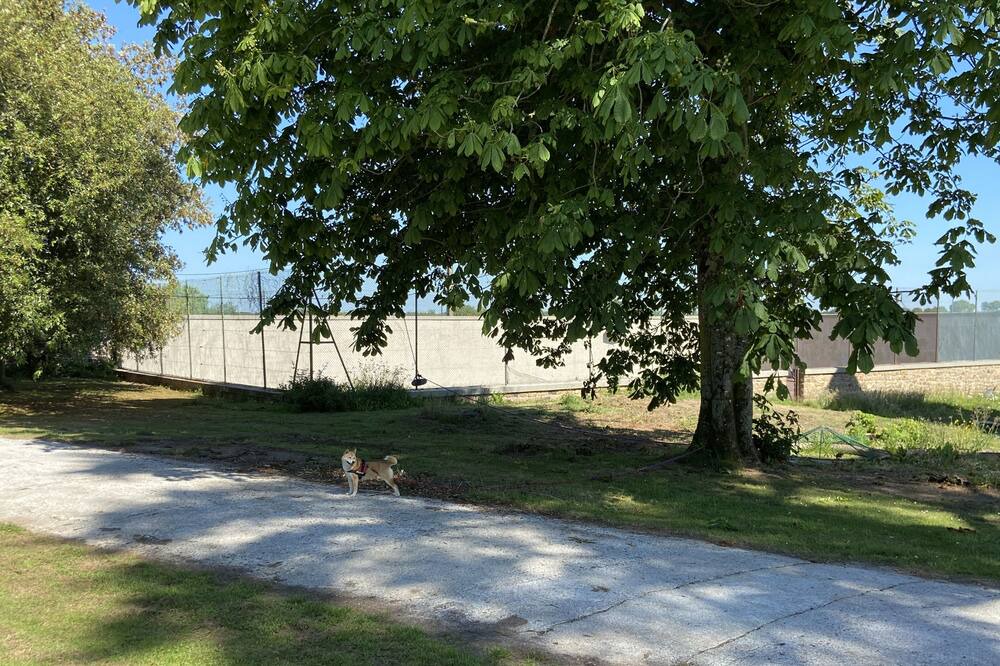 Photo of Outdoor in Saint-Planchers