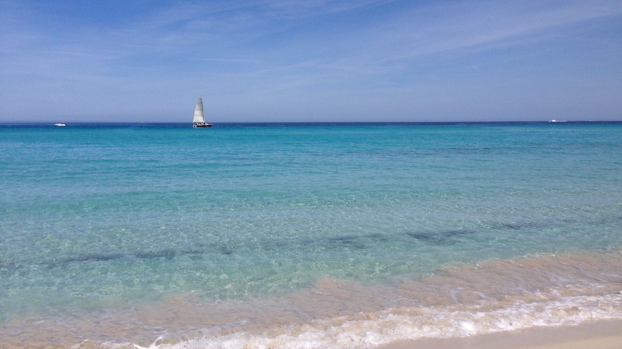 Photo of Others in Saint-Florent