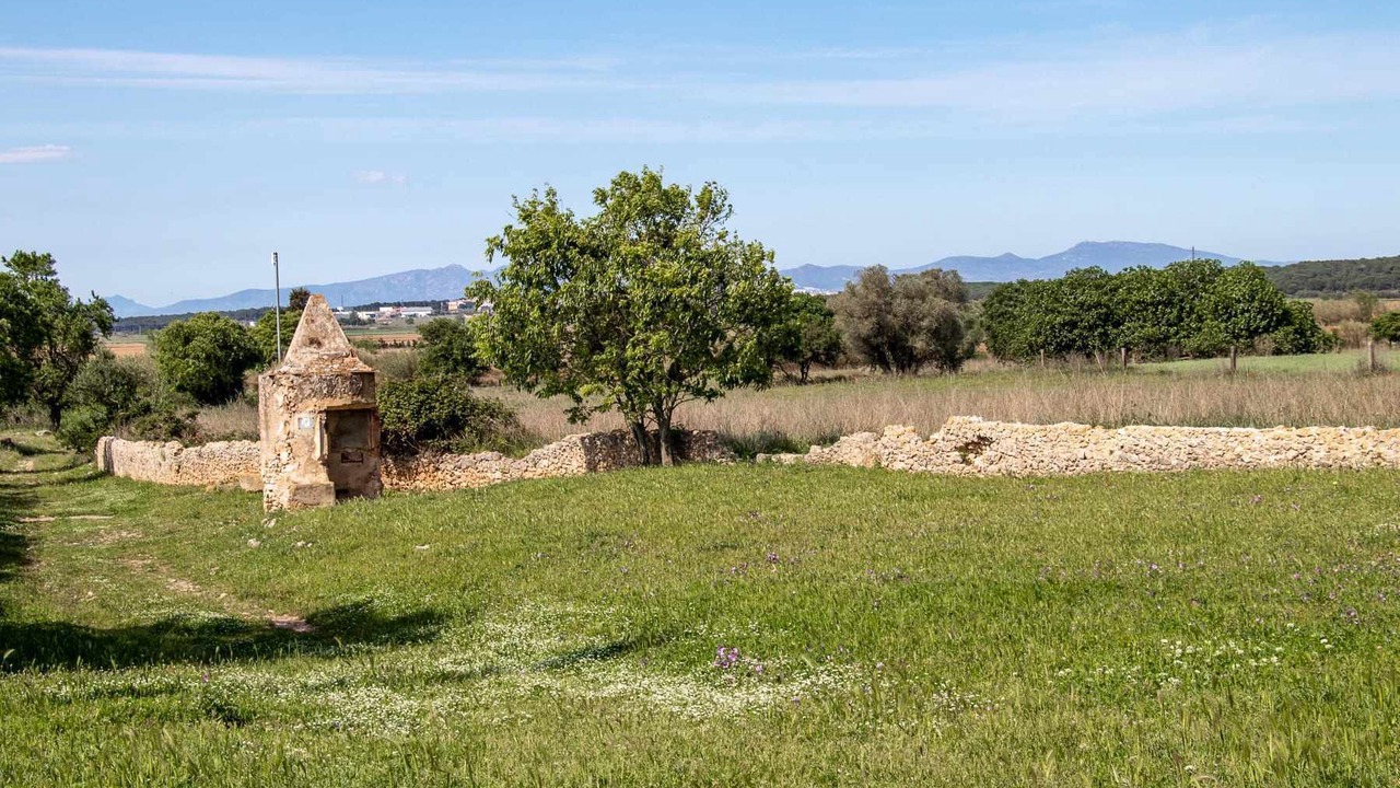 Photo of Outdoor in Sobrestany