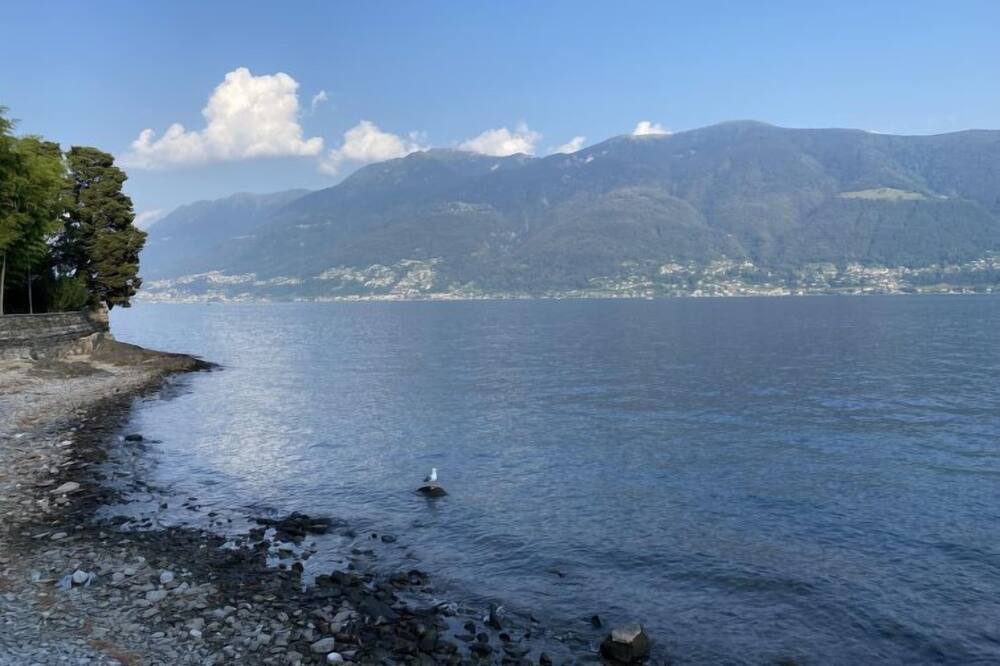 Photo of Others in Muralto