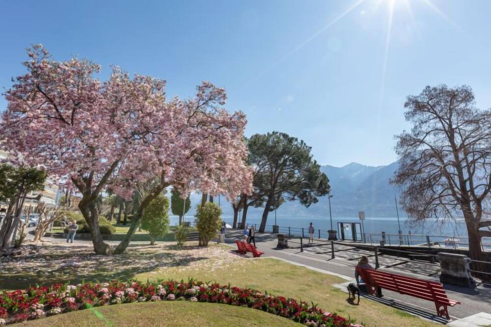 Photo of Outdoor in Muralto