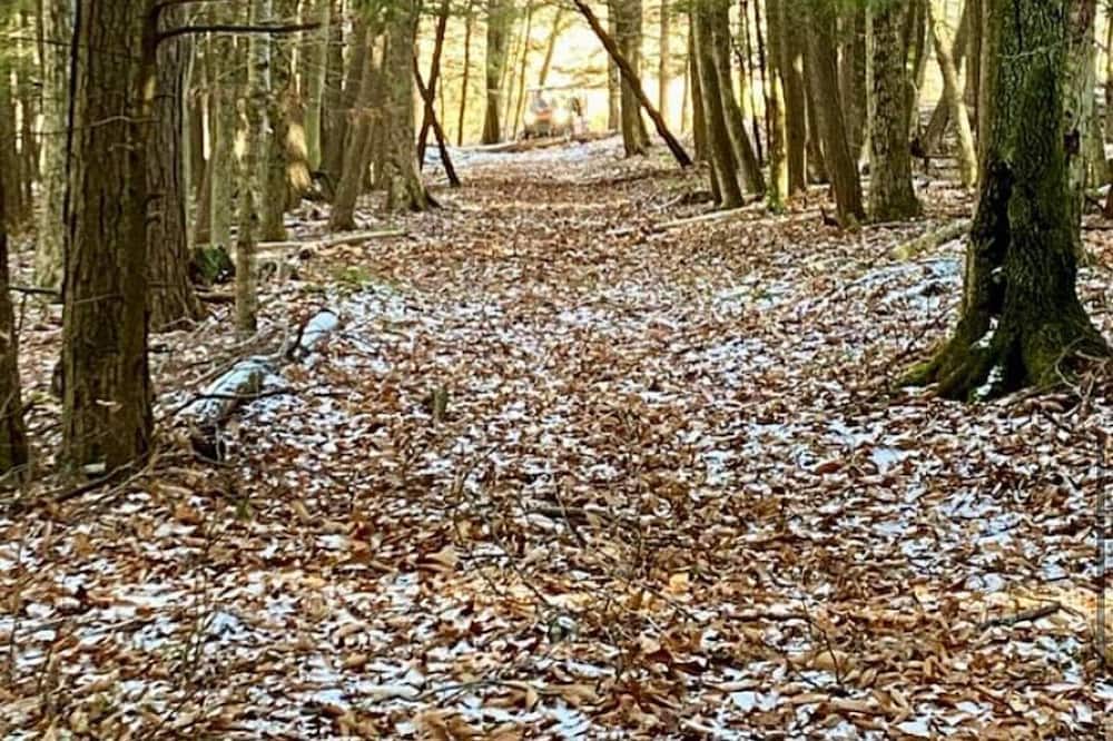 Photo of Outdoor in Town of Sharon