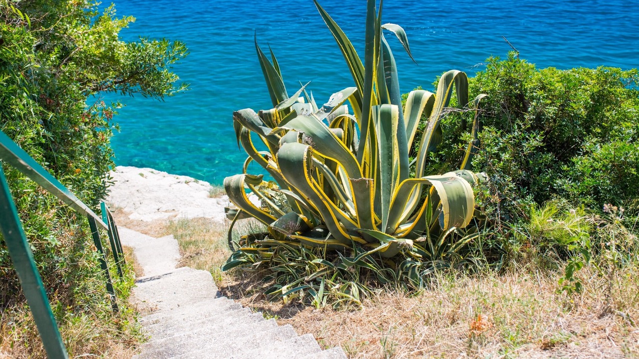 Photo of Outdoor in Bratus
