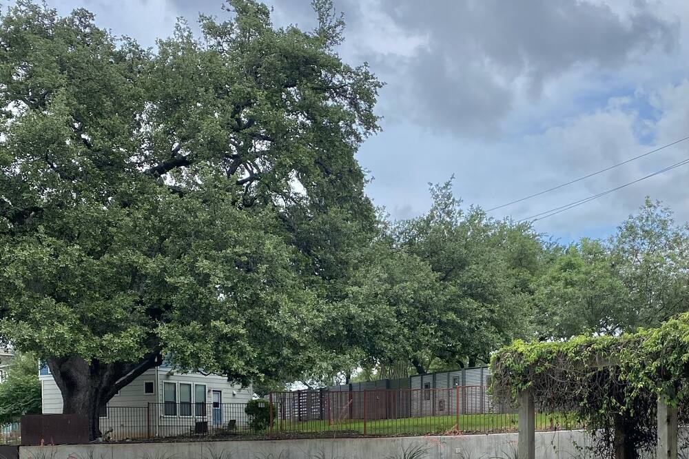 Photo of Outdoor in Parker Lane