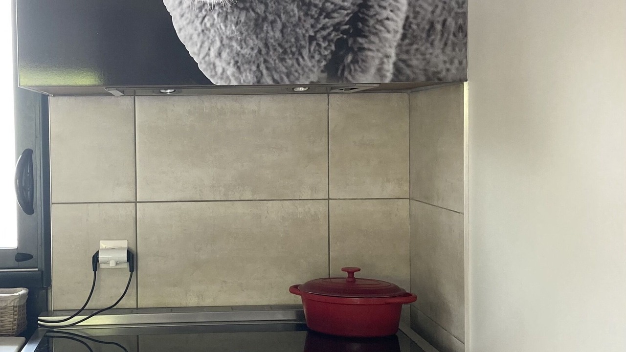 Photo of Kitchen in Quinsac