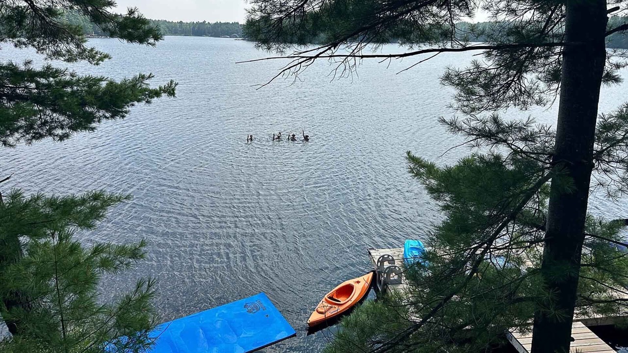 Photo of Others in Gravenhurst