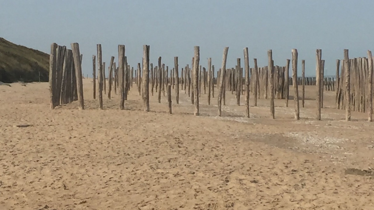 Photo of Others in Malo-les-Bains