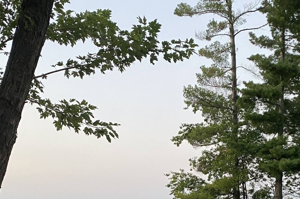 Photo of Outdoor in Webster