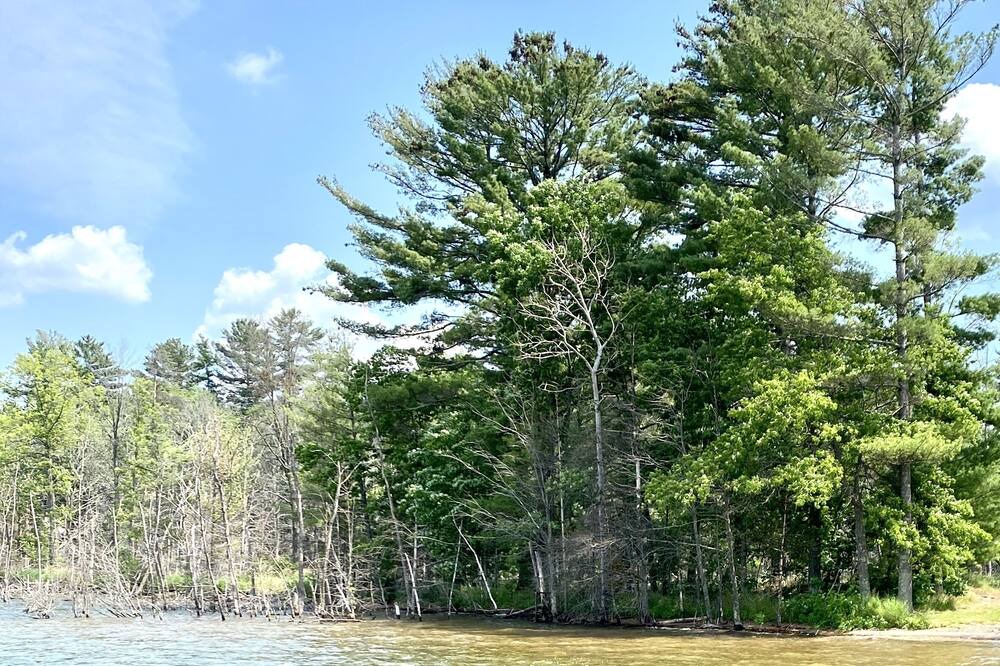 Photo of Outdoor in Webster