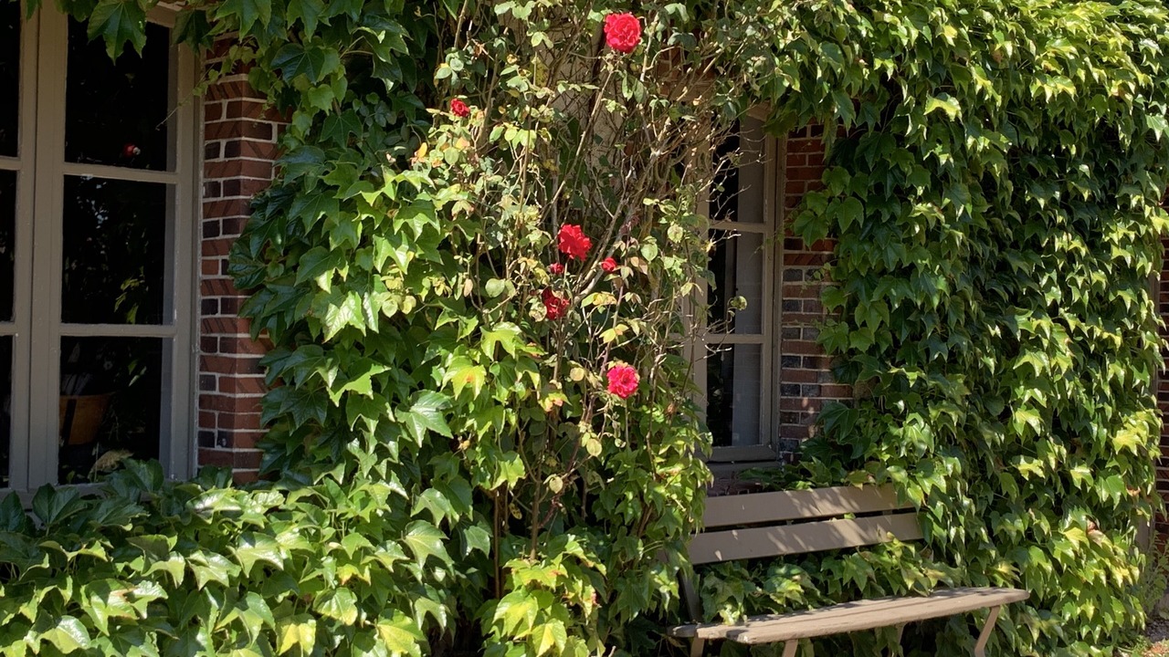 Photo of Outdoor in Rueil-la-Gadeliere