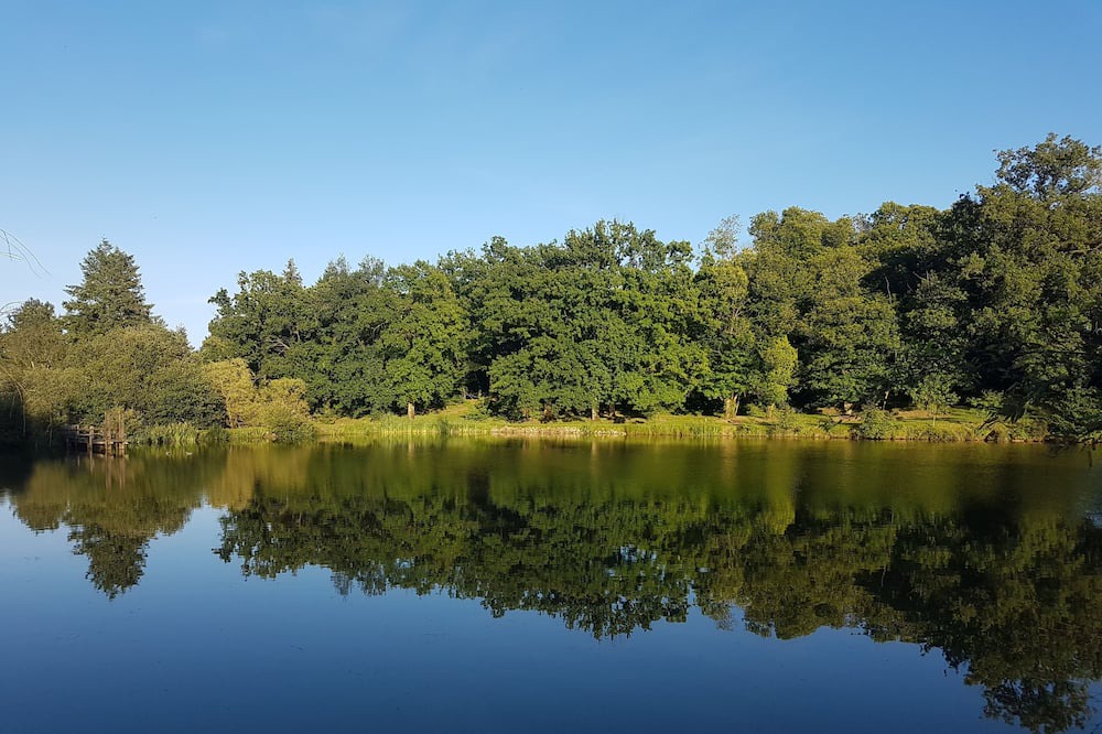 Photo of Others in Saint-Aubin-le-Cloud