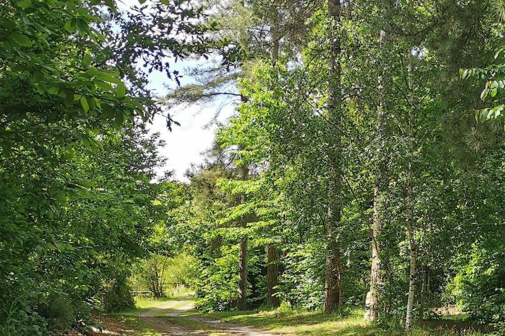 Photo of Outdoor in Saint-Aubin-le-Cloud