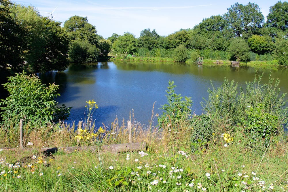 Photo of Others in Saint-Aubin-le-Cloud