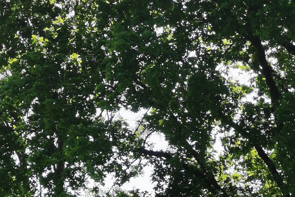 Photo of Others in Saint-Aubin-le-Cloud