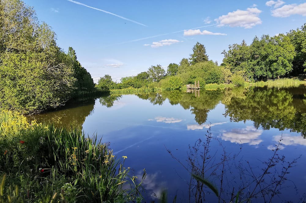 Photo of Others in Saint-Aubin-le-Cloud