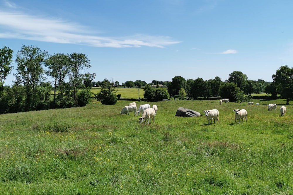 Photo of Others in Saint-Aubin-le-Cloud
