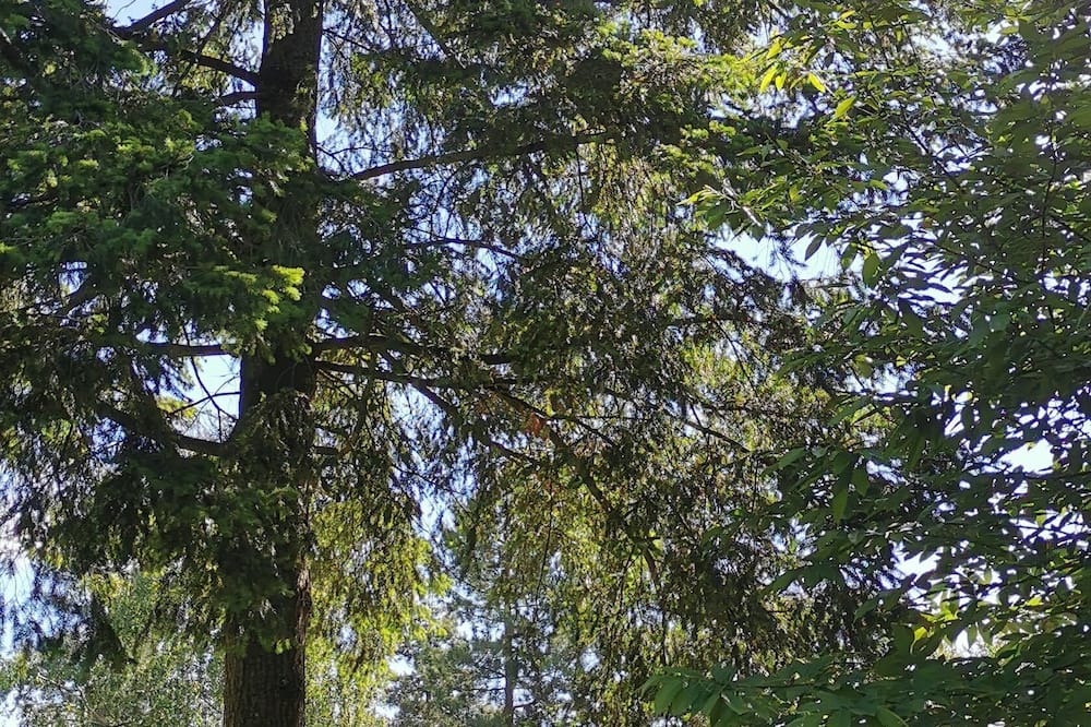 Photo of Bathroom in Saint-Aubin-le-Cloud