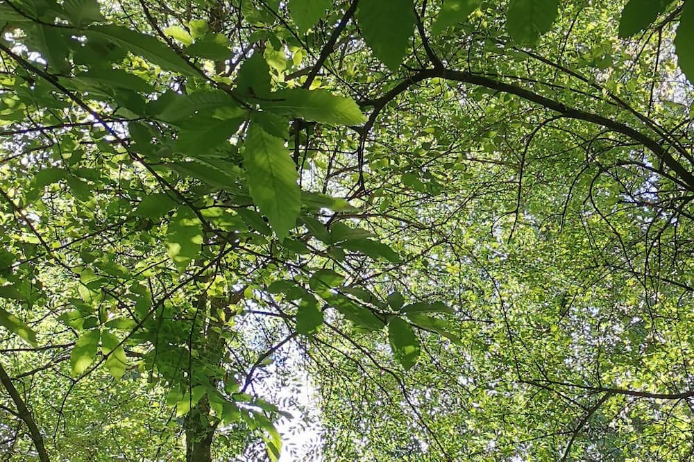 Photo of Bedroom in Saint-Aubin-le-Cloud