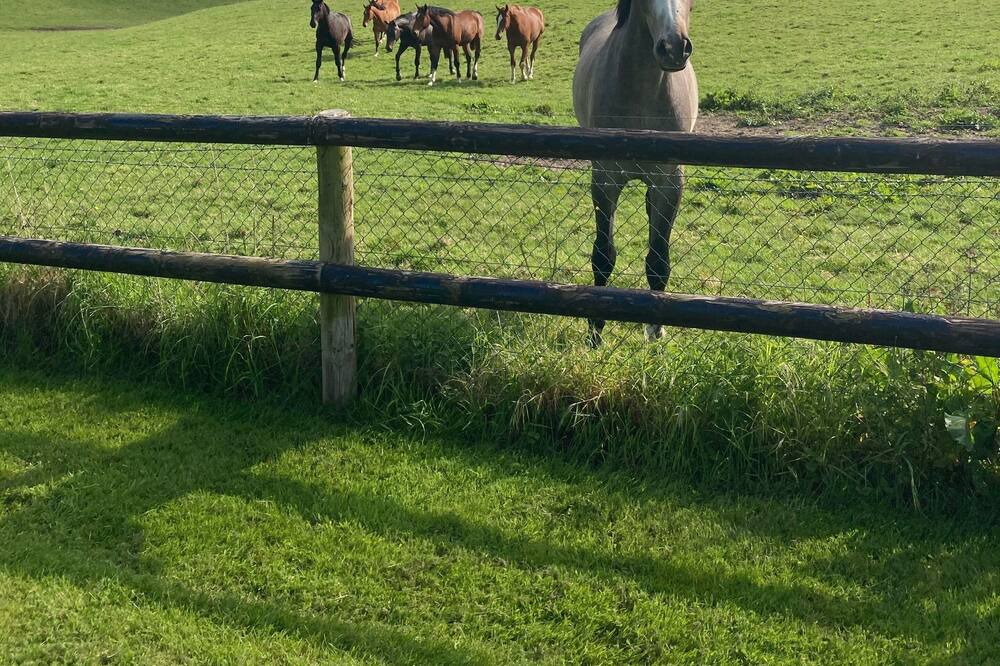 Photo of Outdoor in Beaufour-Druval