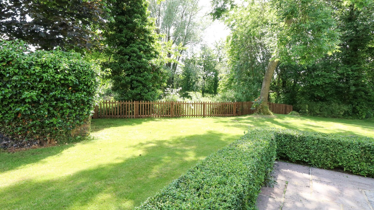 Photo of Others in East Dereham