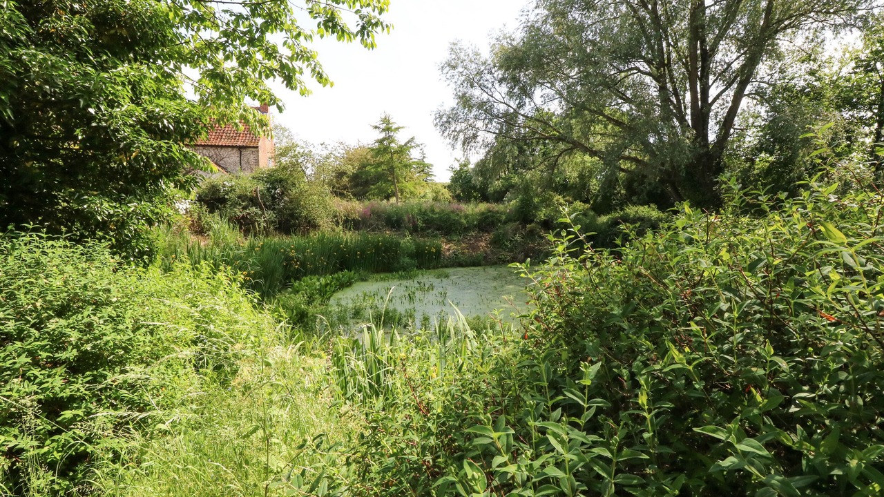 Photo of Others in East Dereham