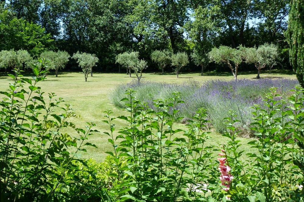 Photo of Outdoor in Montaren-et-Saint-Mediers