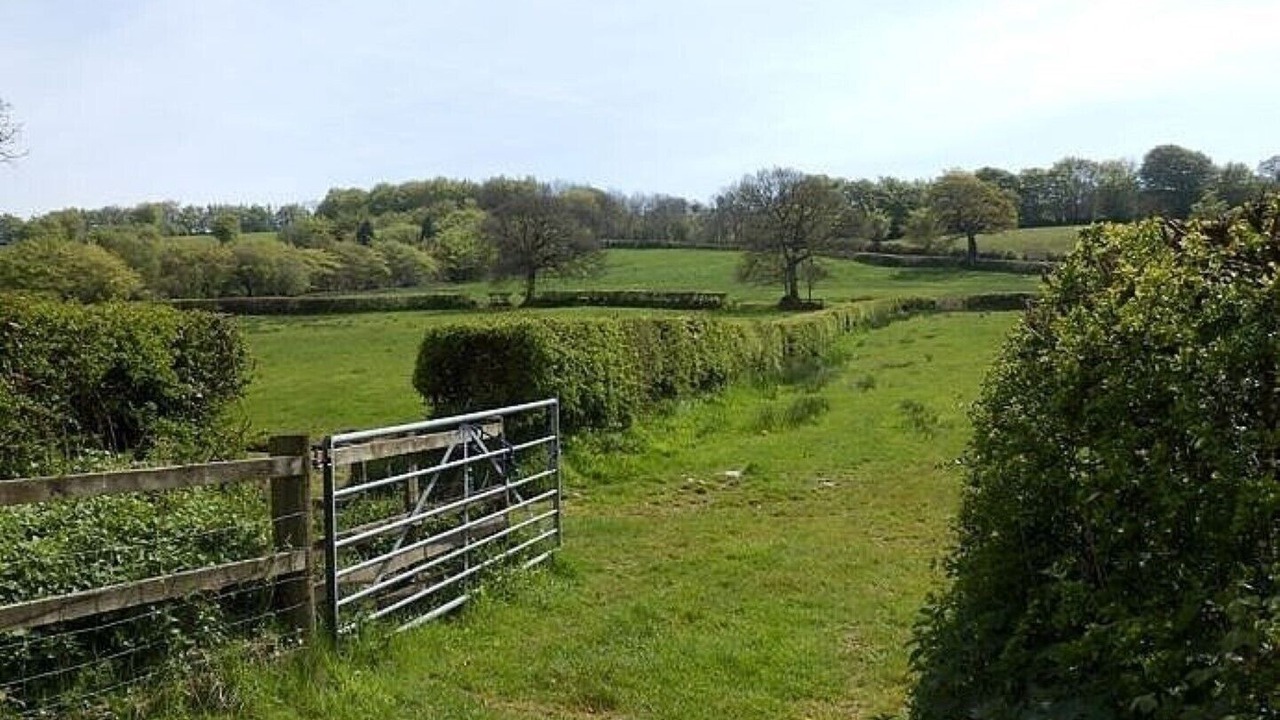 Photo of Outdoor in Saint Blazey