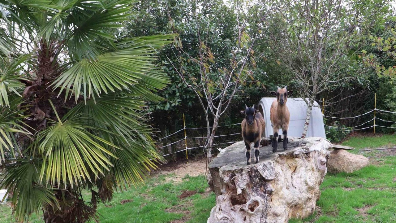 Photo of Outdoor in Saint-Mars-d'Egrenne