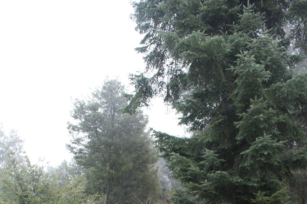 Photo of Others in Pauma Valley