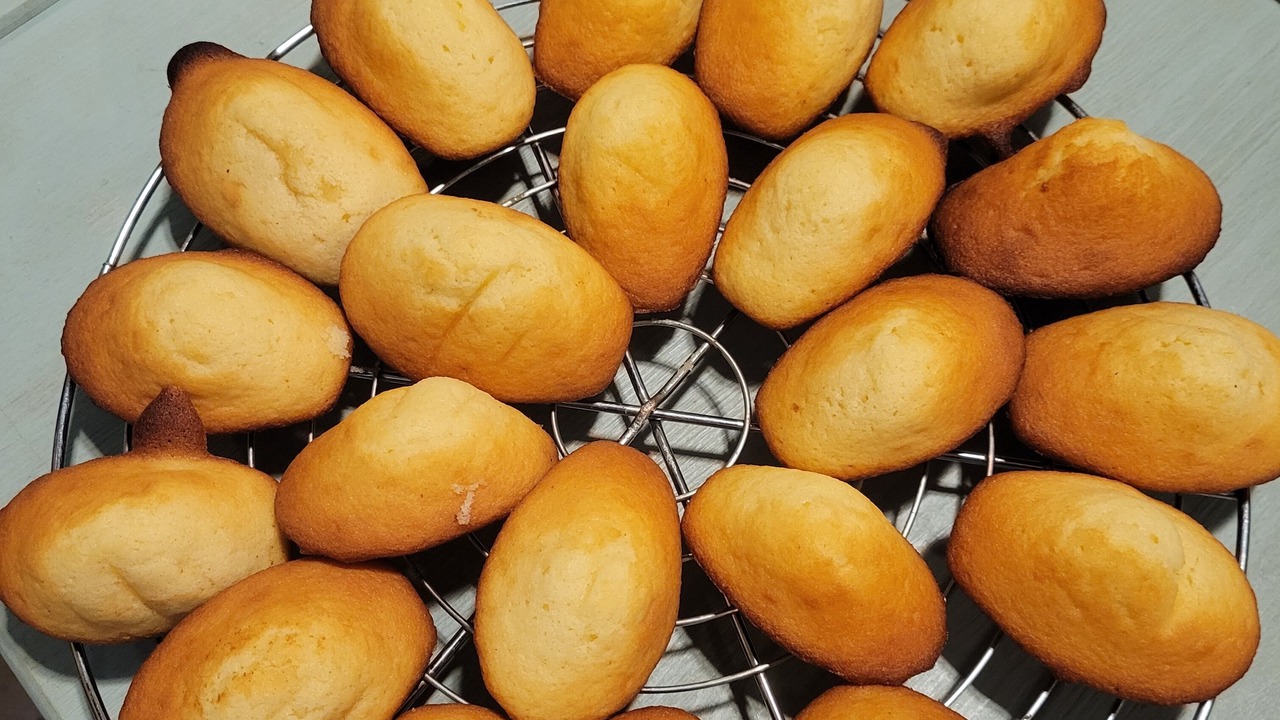 Photo of Others in Bruniquel