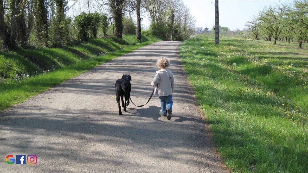 Photo of Outdoor in Bruniquel