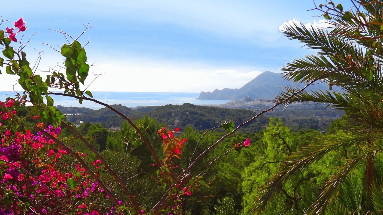 Photo of Outdoor in Bernia