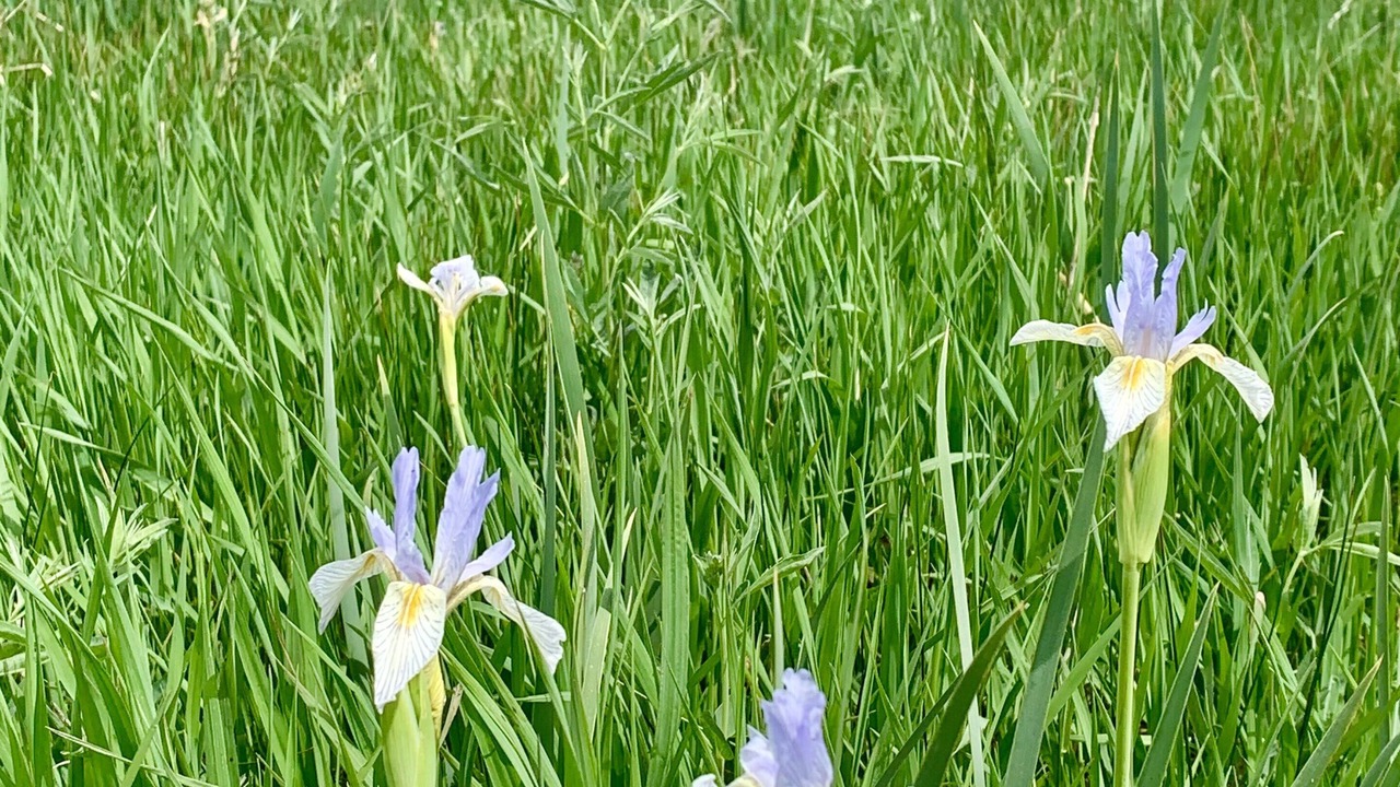 Photo of Outdoor in Belgrade