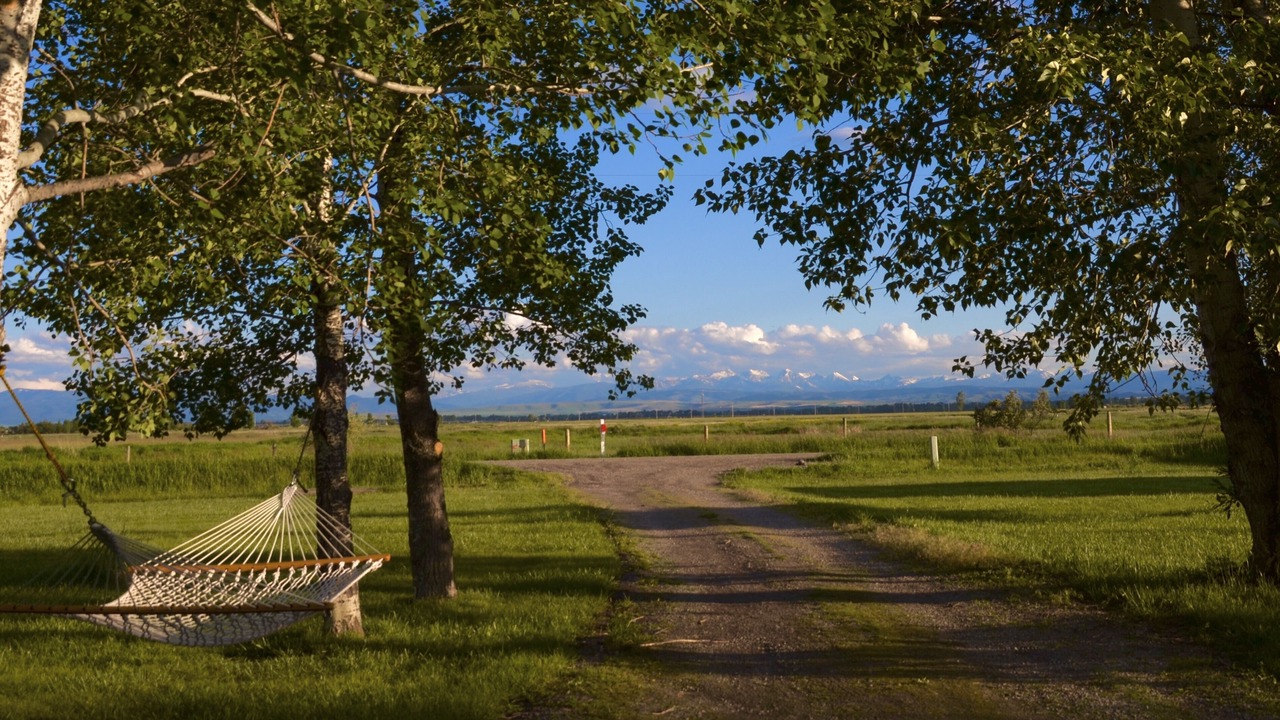 Photo of Outdoor in Belgrade