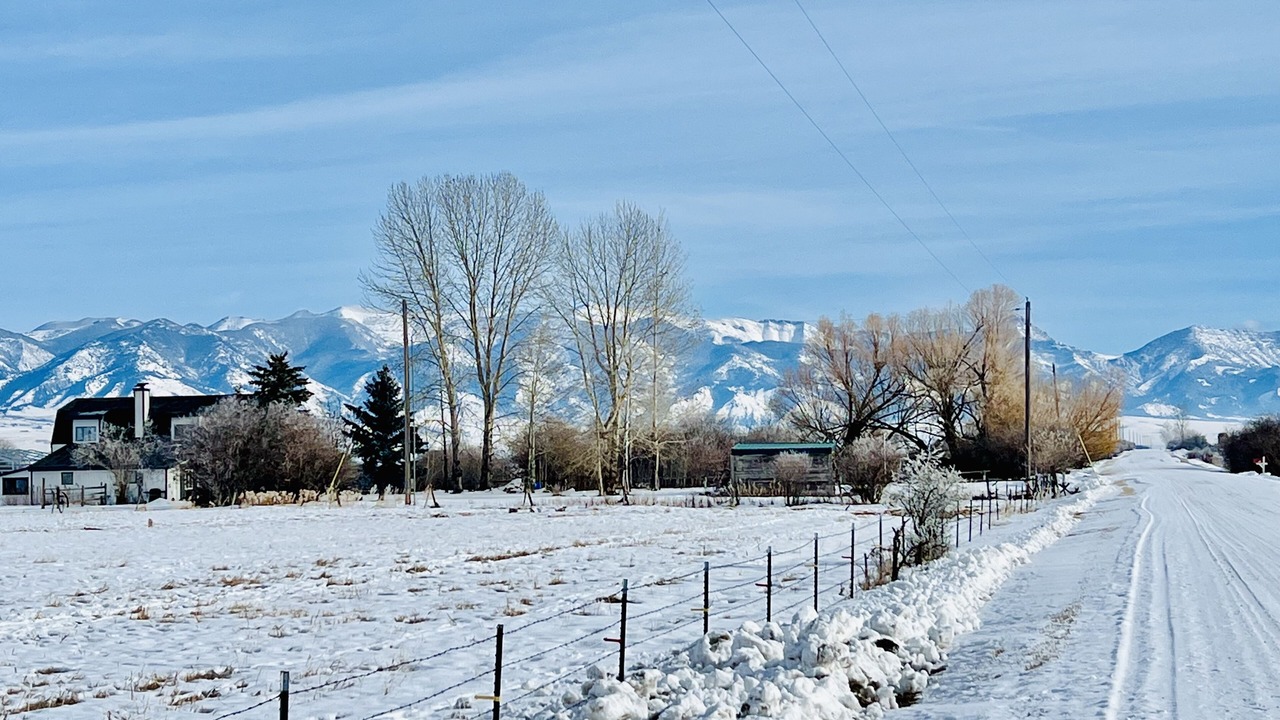 Photo of Outdoor in Belgrade