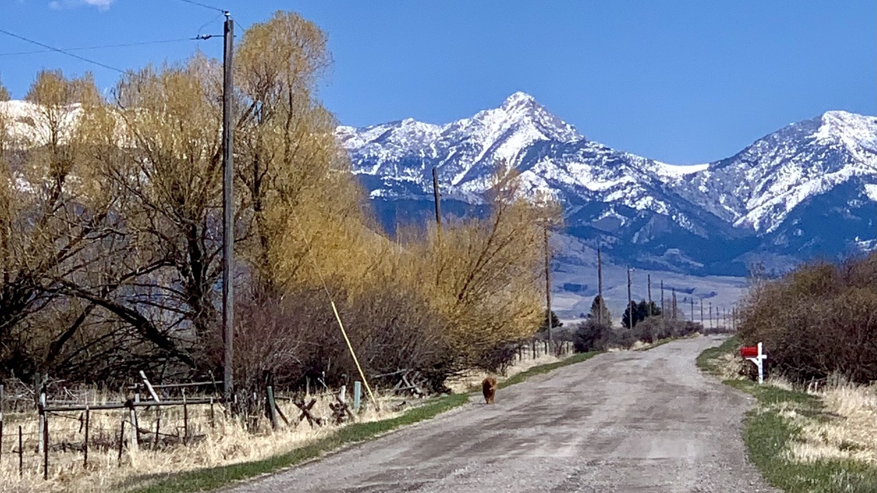 Photo of Outdoor in Belgrade