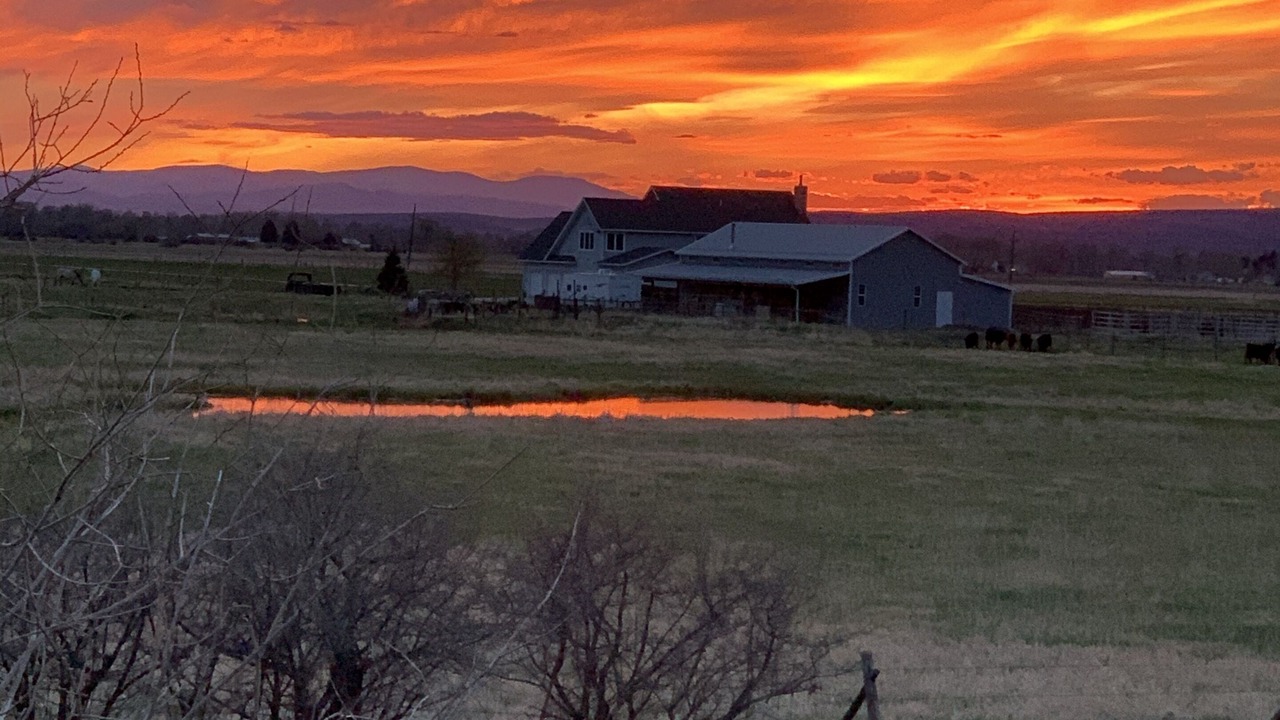 Photo of Others in Belgrade