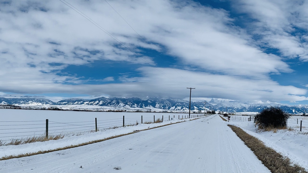 Photo of Others in Belgrade