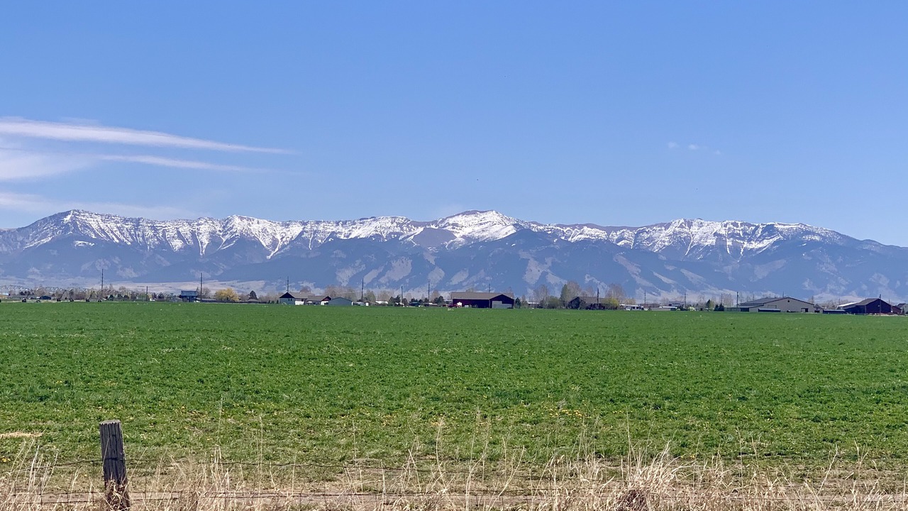 Photo of Outdoor in Belgrade