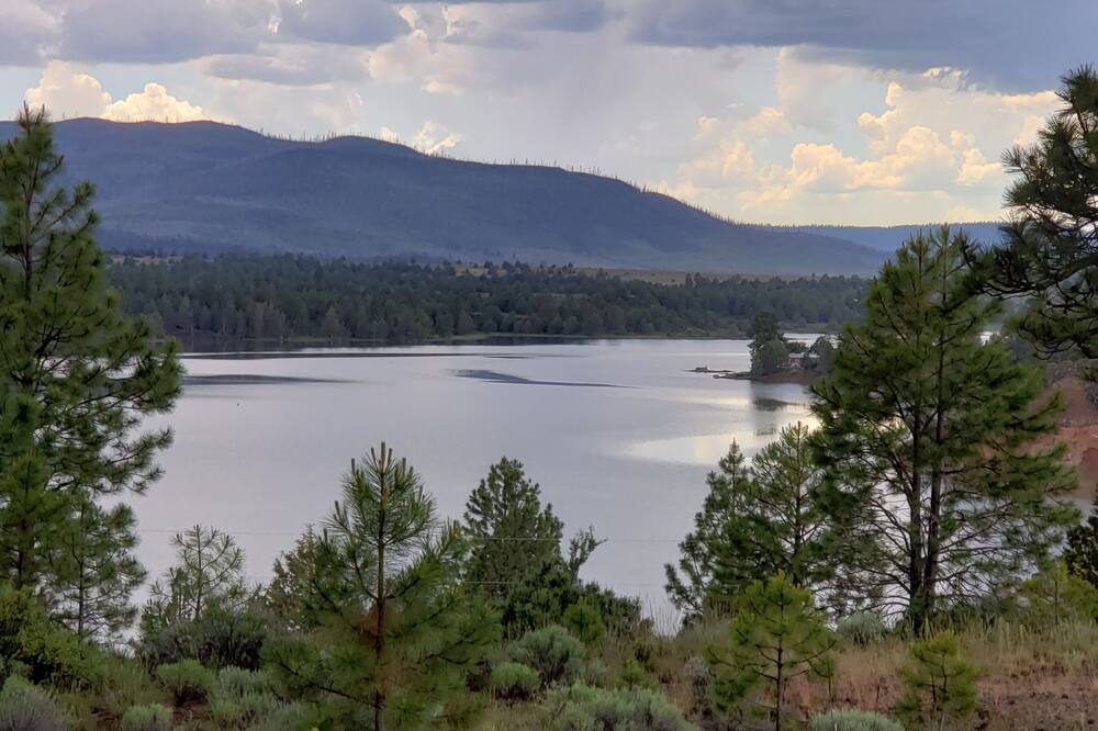 Photo of Others in Lakeview