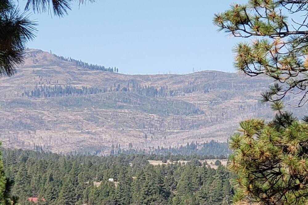 Photo of Others in Lakeview