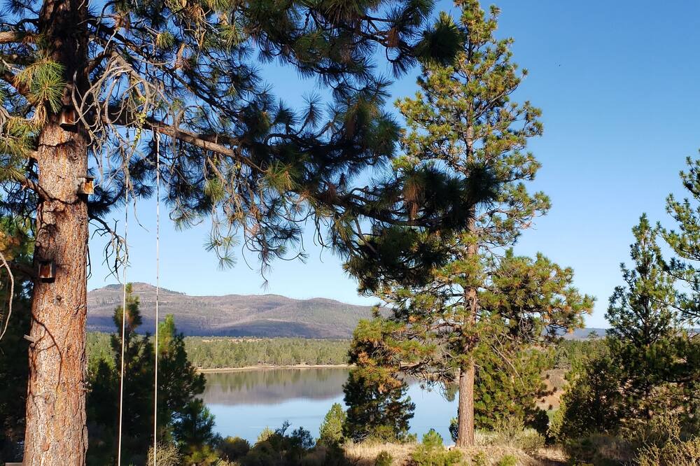 Photo of Outdoor in Lakeview