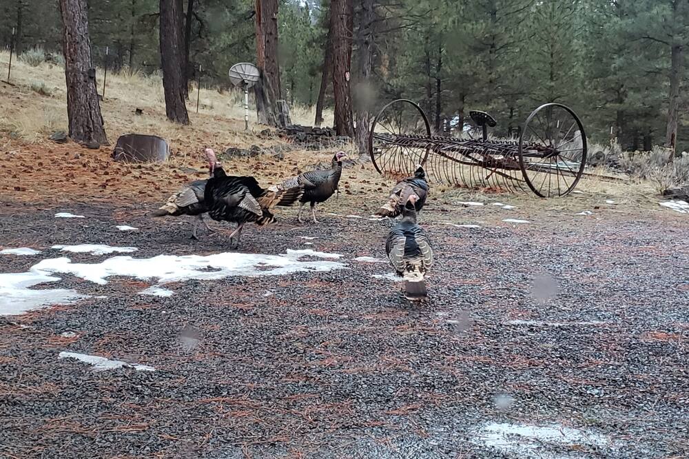 Photo of Others in Lakeview