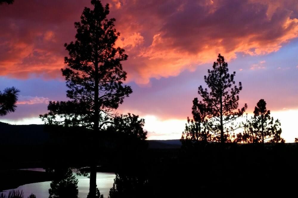 Photo of Others in Lakeview