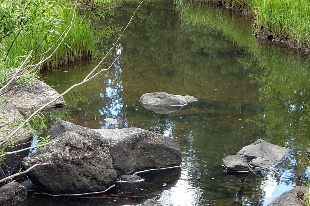 Photo of Outdoor in Lakeview